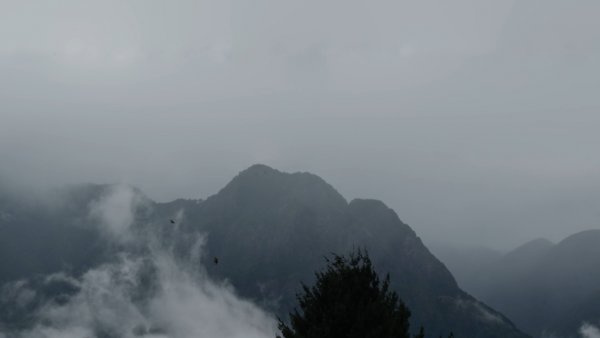 Circulation Cinéma du réel / Les enfants sans terre